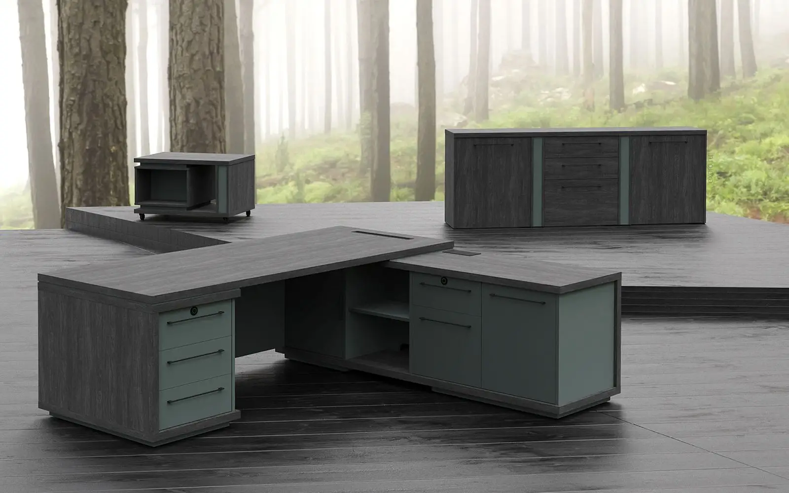 Кабинет руководителя GREENWOOD. Вид 2